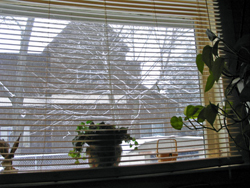 View from the "computer room" window (13 February 2006). Click on picture to see larger size in a new window.