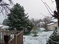 The view from my back door this morning (04/15/13). Click on image to view larger size in a new window.