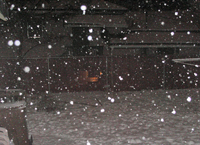 A view of the backyard (01/19/07). Click on image to see larger size in a new window.