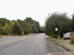 Canyon Road route. Click on image to see larger size in a new window.