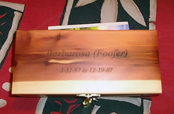 The cedar box containing Foofer's ashes. Click on image to see larger size in a new window.