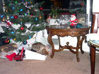 Kiki under the Christmas tree. Click on image to view larger size in a new window