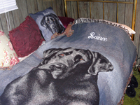 Rainee's new personalized pillow and blanket. Click on image to view larger size in a new window