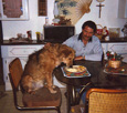 Foofer & Rocky having breakfast (02/22/98).