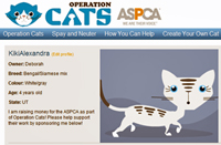 Kiki's new page at Operation Cats