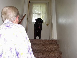 Looking down the stairs at Grandma, September 2011.