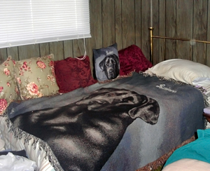 A closer look at Rainee's bed with blanket and pillow (July 2009).