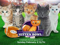 Kitten Bowl