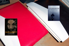My working folders for "Bloodlust" (red) and "Glinhaven" (black). Click on image to view larger size in a new window.