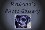 Rainee's Photo Gallery