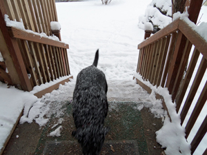 Snowy Christmas Eve, December 2014.