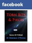 Torn Bits & Pieces @ Facebook