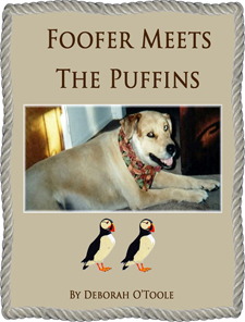 "Foofer Meets the Puffins" by Deborah O'Toole