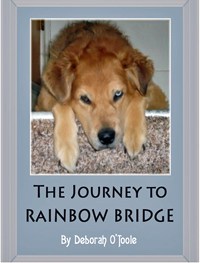 The Journey to Rainbow Bridge